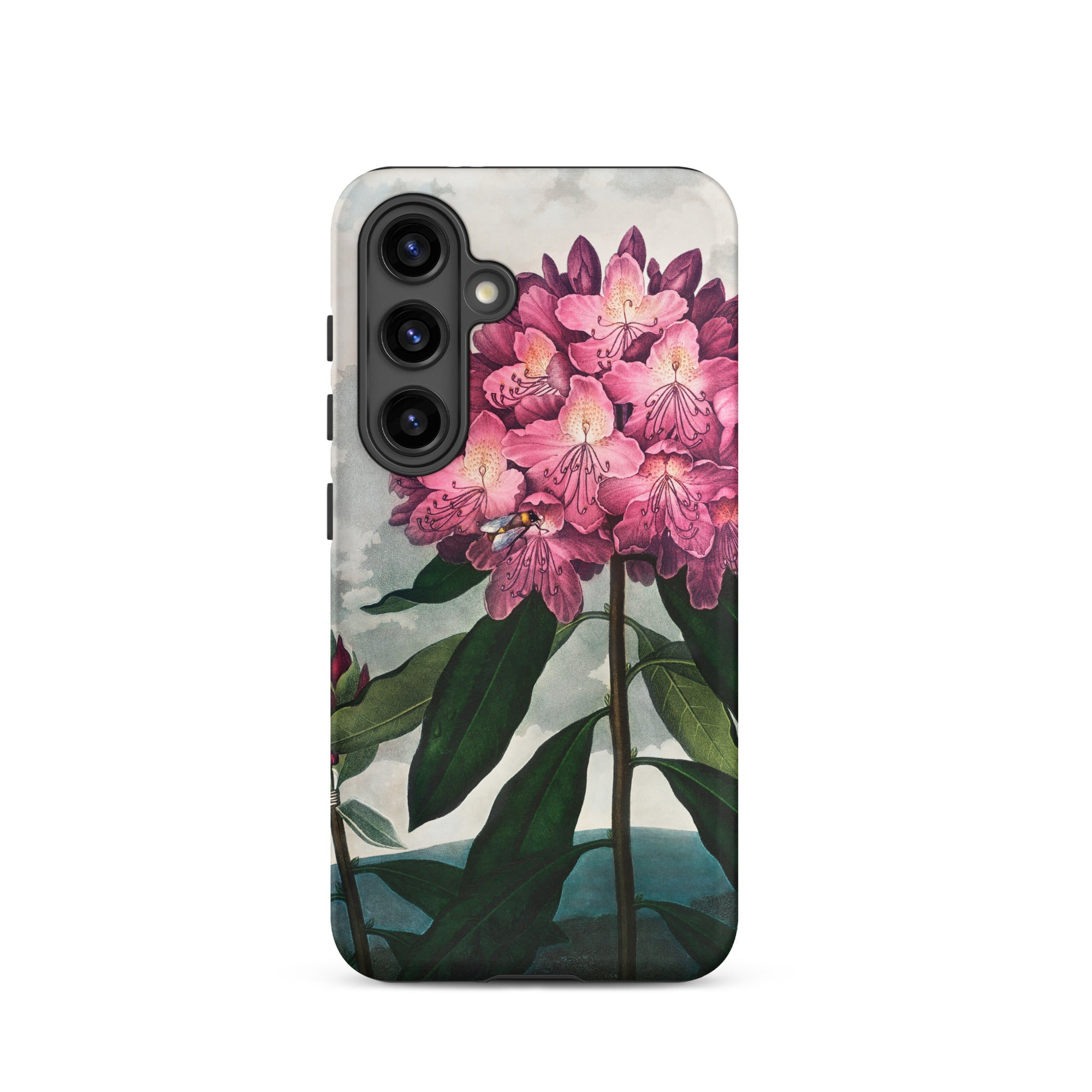 Pontic Rhododendron Robert John Thornton Samsung Case, Galaxy S24, Smartphone Case Botanical Illustration Pink Rhododendron Flowers Leaves