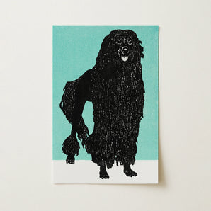 Poodle - Moriz Jung Vintage Graphic Dog Art Print / Canvas, 12x18’’ / 31x46cm / Unframed / no Border, Posters Prints & Visual Artwork, Toby