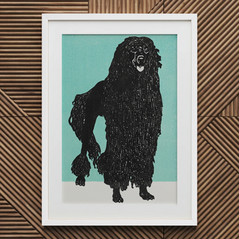 Poodle - Moriz Jung Vintage Graphic Dog Art Print / Canvas Black Poodle Art Print White Frame Teal Background Moriz Jung, Canine Charisma