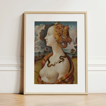 Ritratto di Simonetta Vespucci - Stampa d'arte di Piero Di Cosimo / Tela, 12x16’’ / 31x41cm / Cornice naturale / Passe-partout, Poster Stampe & Visual