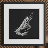 Prawn - Ernst Haeckel Marine Life Art Print, 12x12’’ / 31x31cm / Black Frame / 2’’ Matboard, Framed Black-and-white Scientific Illustration
