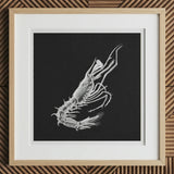 Prawn - Ernst Haeckel Marine Life Art Print, 12x12’’ / 31x31cm / Natural Frame / 2’’ Matboard, Framed Black White Illustration Spiny Lobster