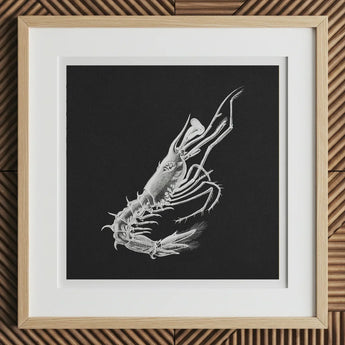 Prawn - Ernst Haeckel Marine Life Art Print, 12x12’’ / 31x31cm / Natural Frame / 2’’ Matboard, Framed Black White Illustration Spiny Lobster