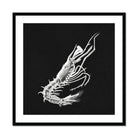 Prawn - Ernst Haeckel Marine Life Art Print Posters Prints & Visual Artwork