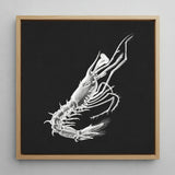Prawn - Ernst Haeckel Marine Life Art Print / Canvas, 12x12’’ / 31x31cm / Natural Frame, Posters Prints & Visual Artwork, Toby Leon
