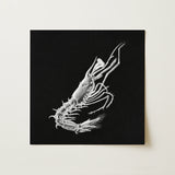 Prawn - Ernst Haeckel Marine Life Art Print / Canvas, 12x12’’ / 31x31cm / Unframed / no Border, Posters Prints & Visual Artwork, Toby Leon