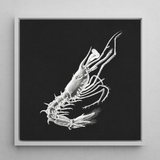Prawn - Ernst Haeckel Marine Life Art Print / Canvas, 12x12’’ / 31x31cm / White Frame, Posters Prints & Visual Artwork, Toby Leon