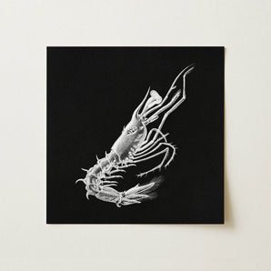 Prawn - Ernst Haeckel Marine Life Art Print / Canvas, Ernst Haeckel, Crustacean Specter Materializes, Inky Depths