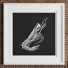 Prawn - Ernst Haeckel Marine Life Art Print Posters Prints & Visual Artwork