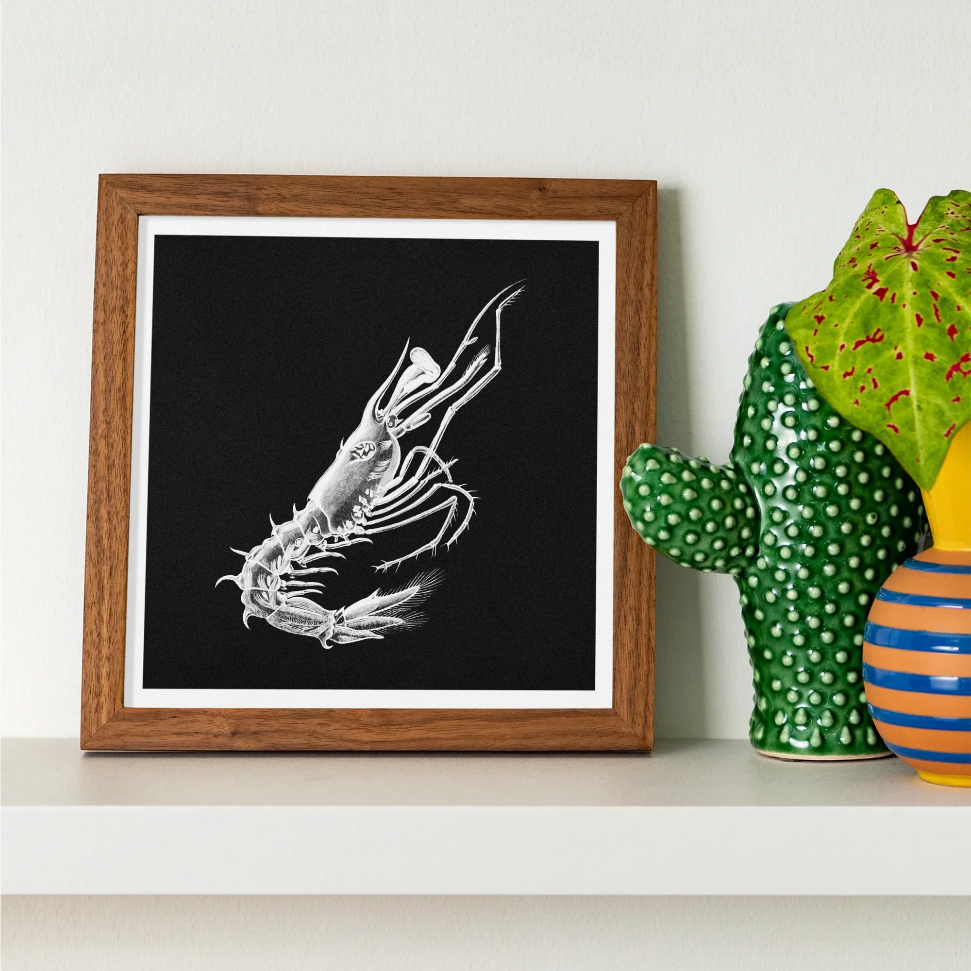 Prawn - Ernst Haeckel Marine Life Art Print Posters Prints & Visual Artwork