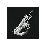 Prawn - Ernst Haeckel Marine Life Art Print, White Skeleton Shell Crustacean Dark Background
