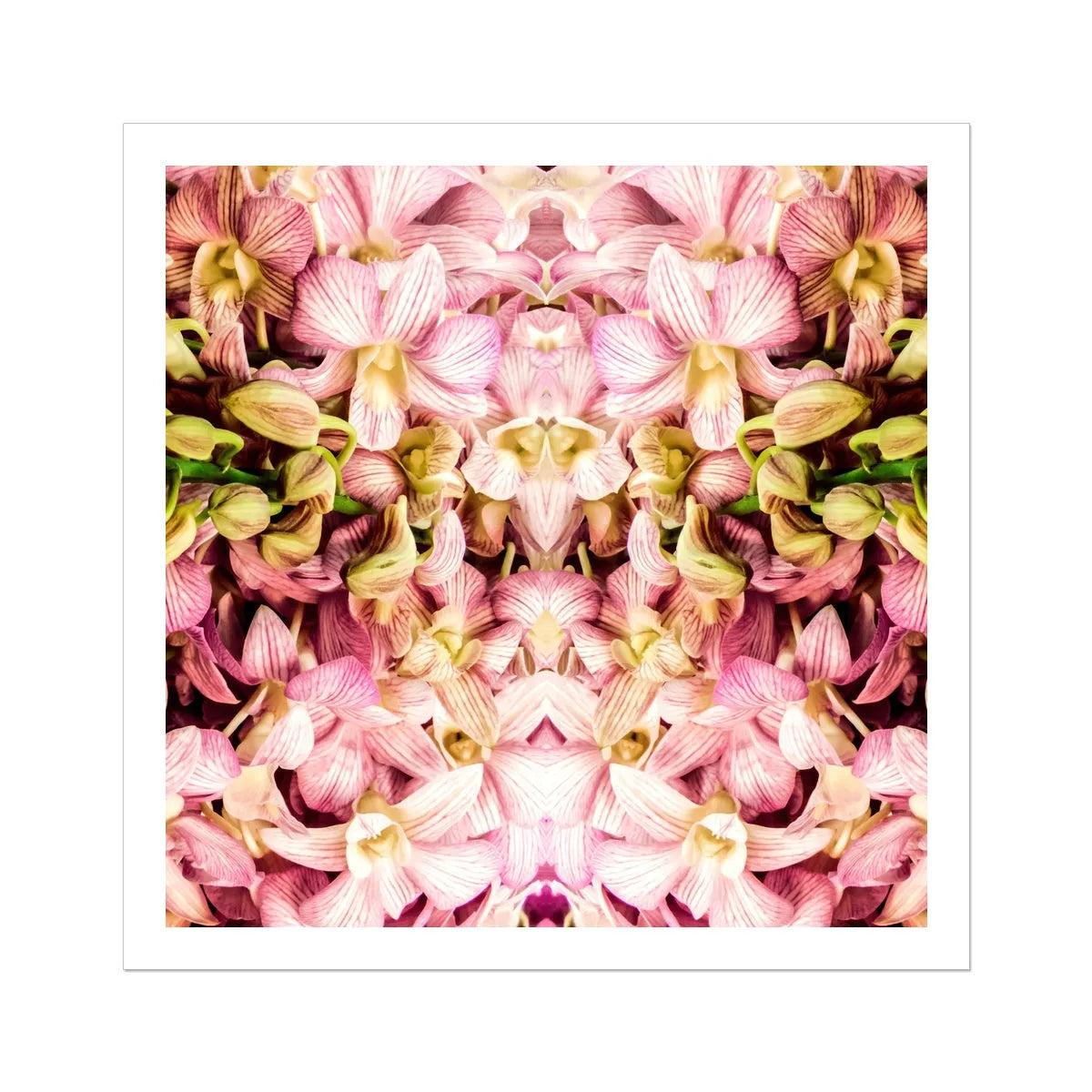 Pretty In Pink Fine Art Print - 30’x30’ - Posters Prints & Visual Artwork - Aesthetic Art