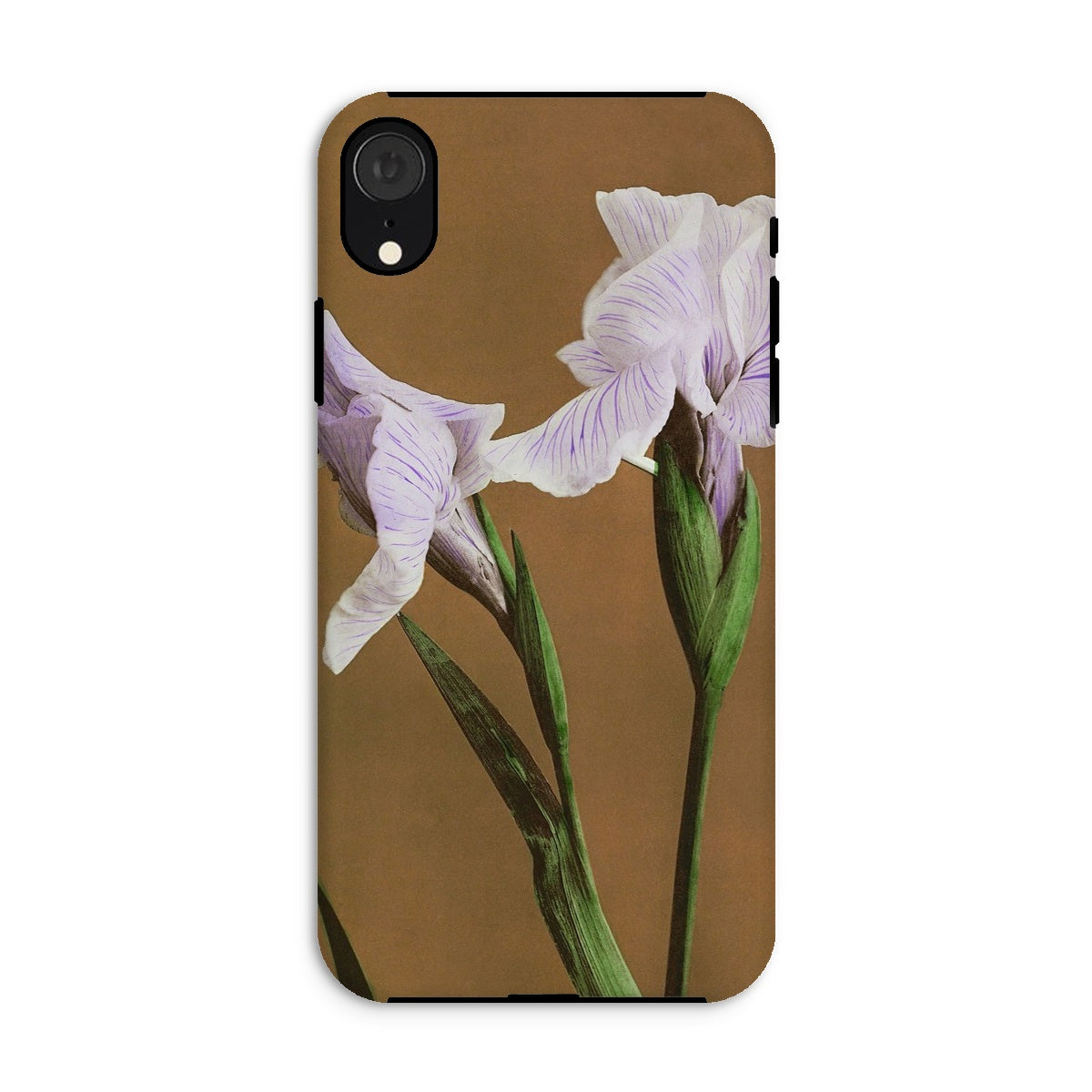 Purple Iris Ogawa Kazumasa Floral Iphone Case, Xr / Matte, Phone Case Delicate White Iris Flower Design Brown