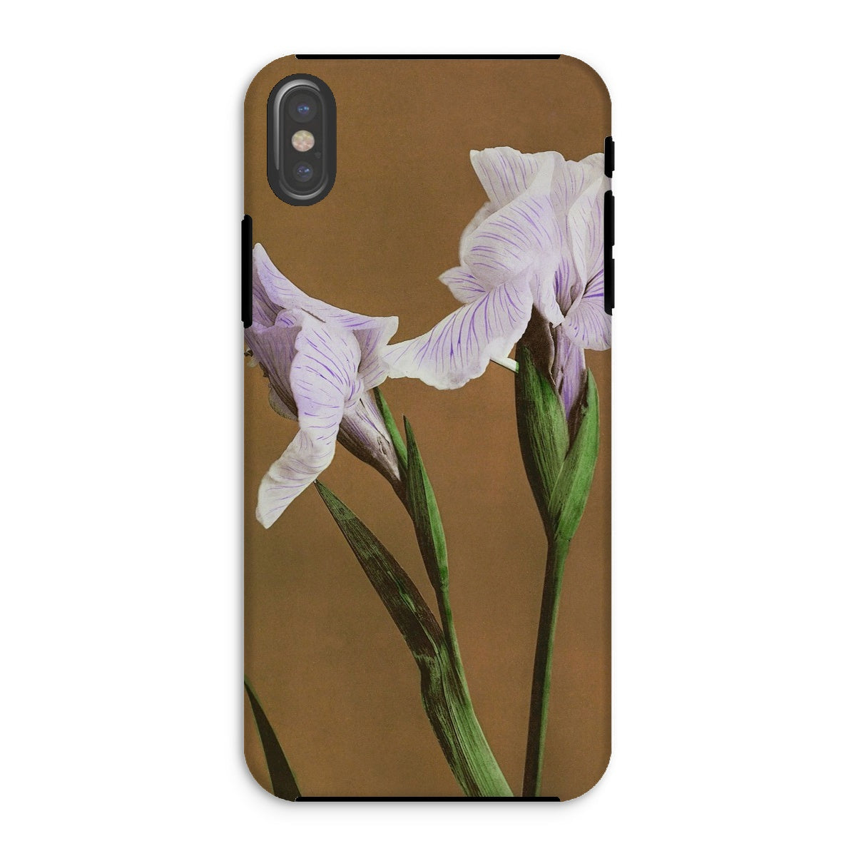 Purple Iris Ogawa Kazumasa Floral Iphone Case, Xs / Matte, Phone Case Close Up Photograph Pale Purple Iris Flowers