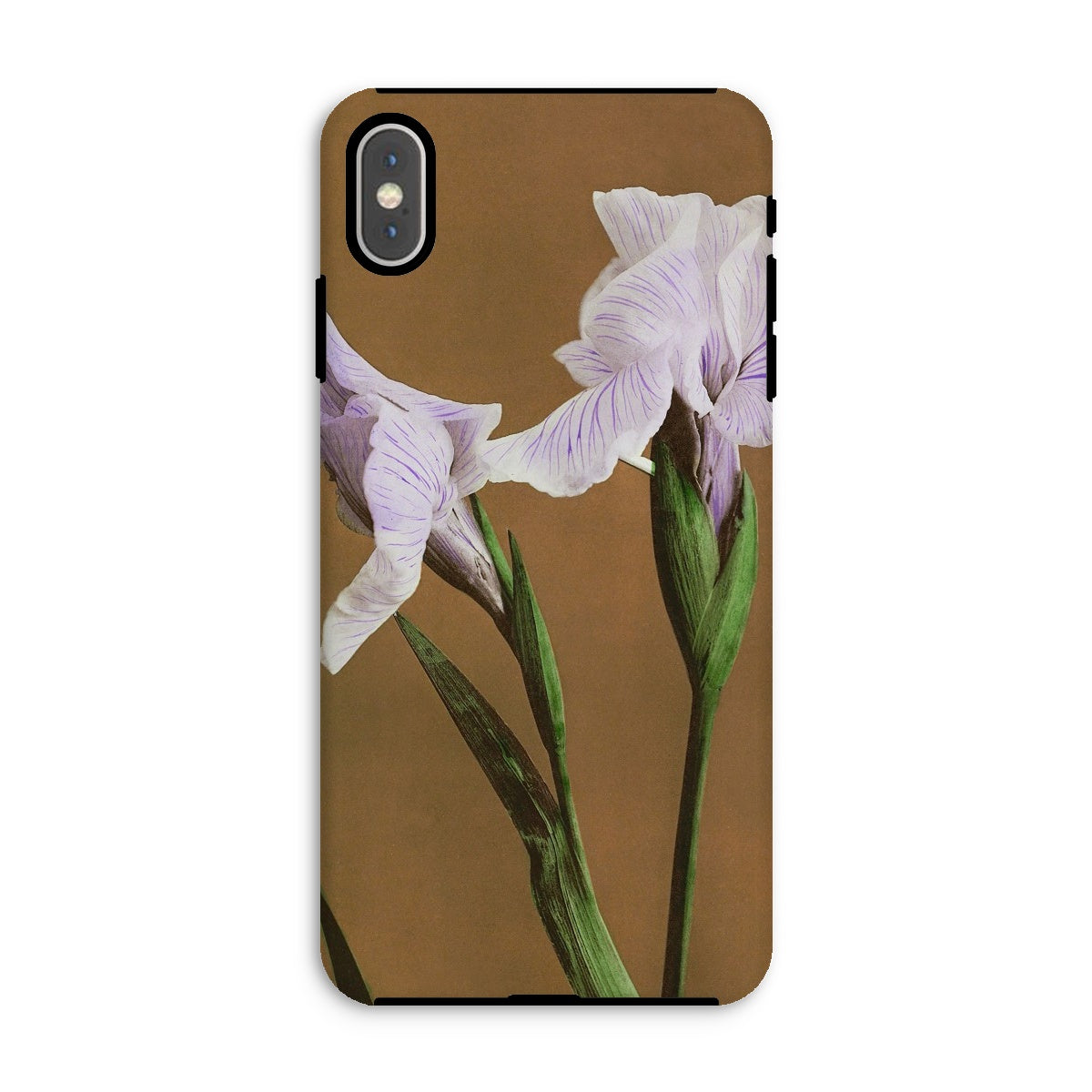 Purple Iris Ogawa Kazumasa Floral Iphone Case, Xs Max / Matte, Phone Case Delicate White Iris Flower Design Brown