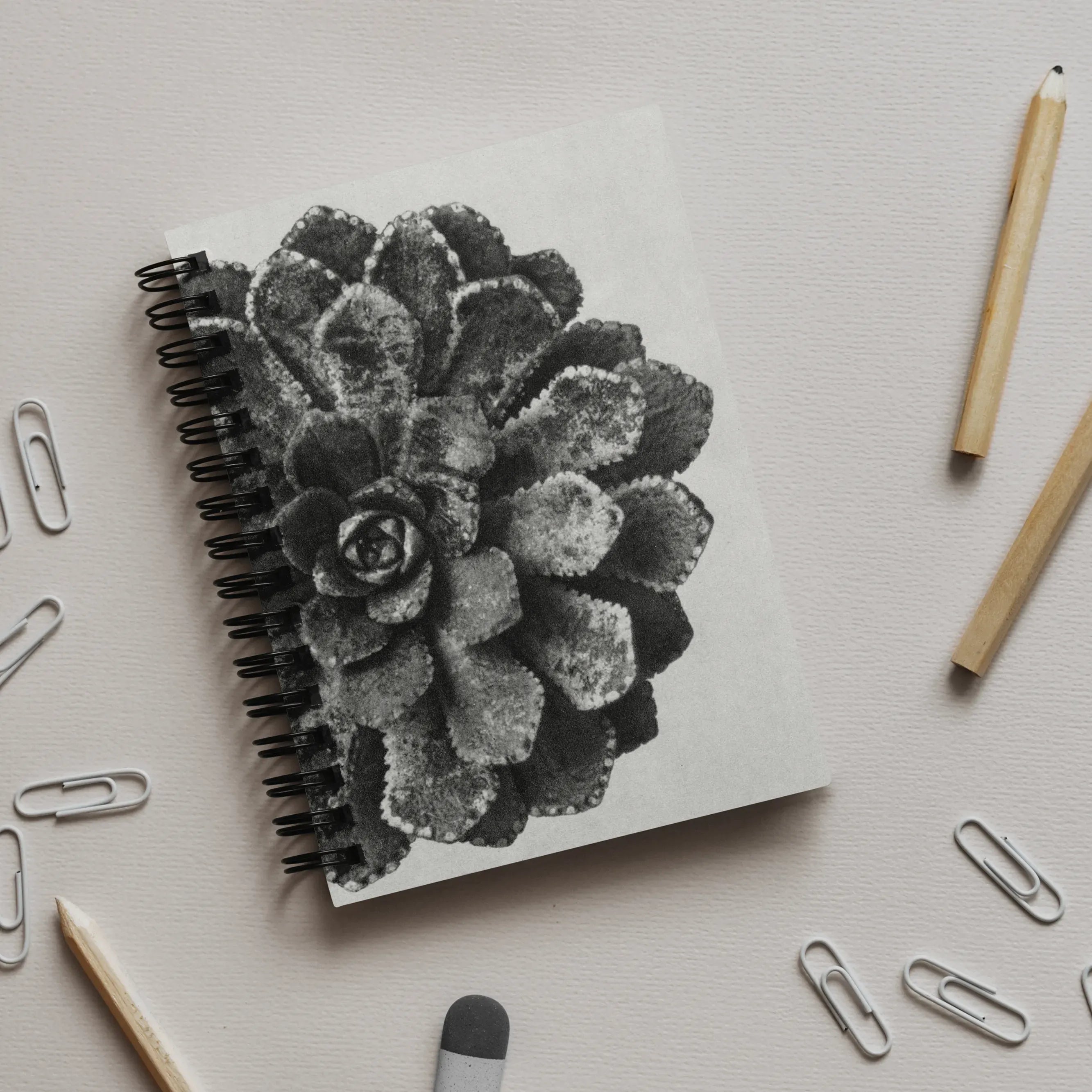 Pyramidal Saxifrage (aizoon) By Karl Blossfeldt Notebook - A5 / Graph - Notebooks & Notepads - Aesthetic Art