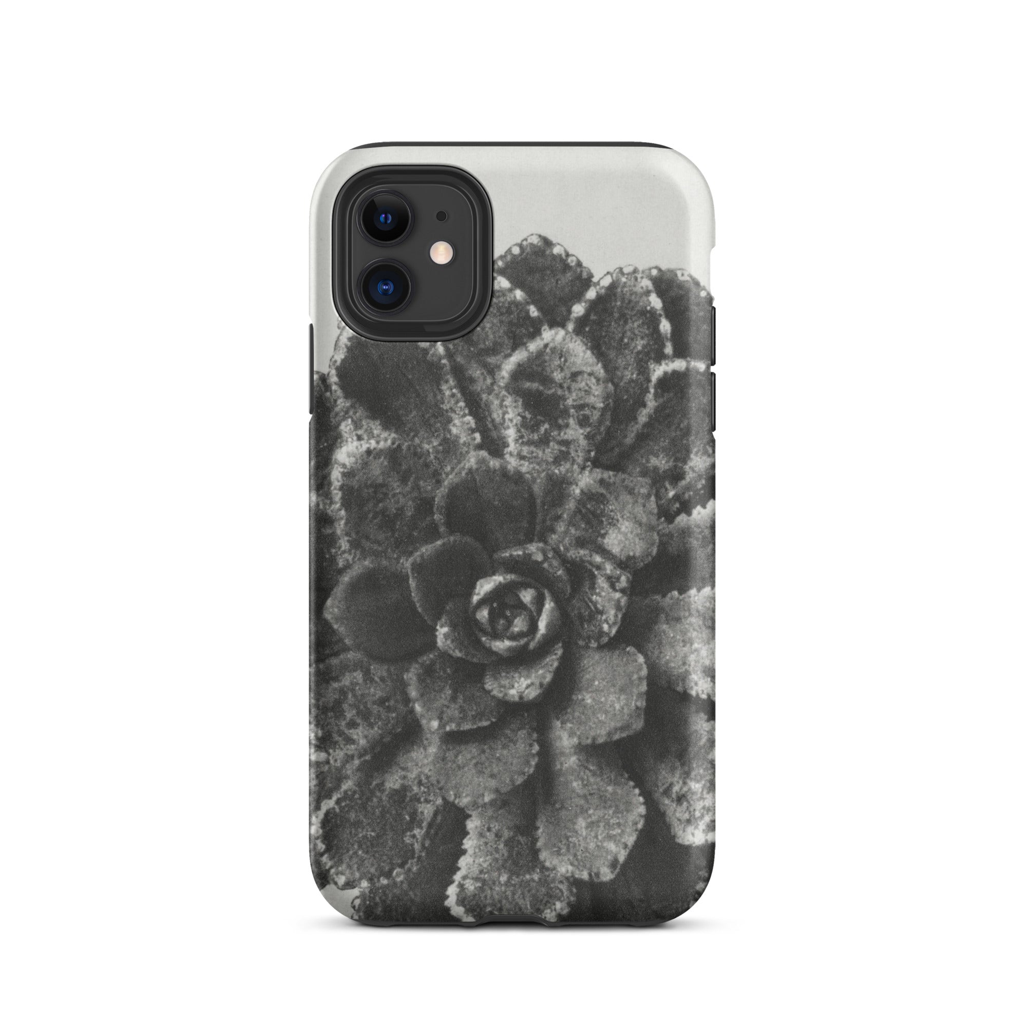 Pyramidal Saxifrage (saxifraga Aizoon) Karl Blossfeldt Iphone Case, 11 / Matte, Black White Succulent Phone Case