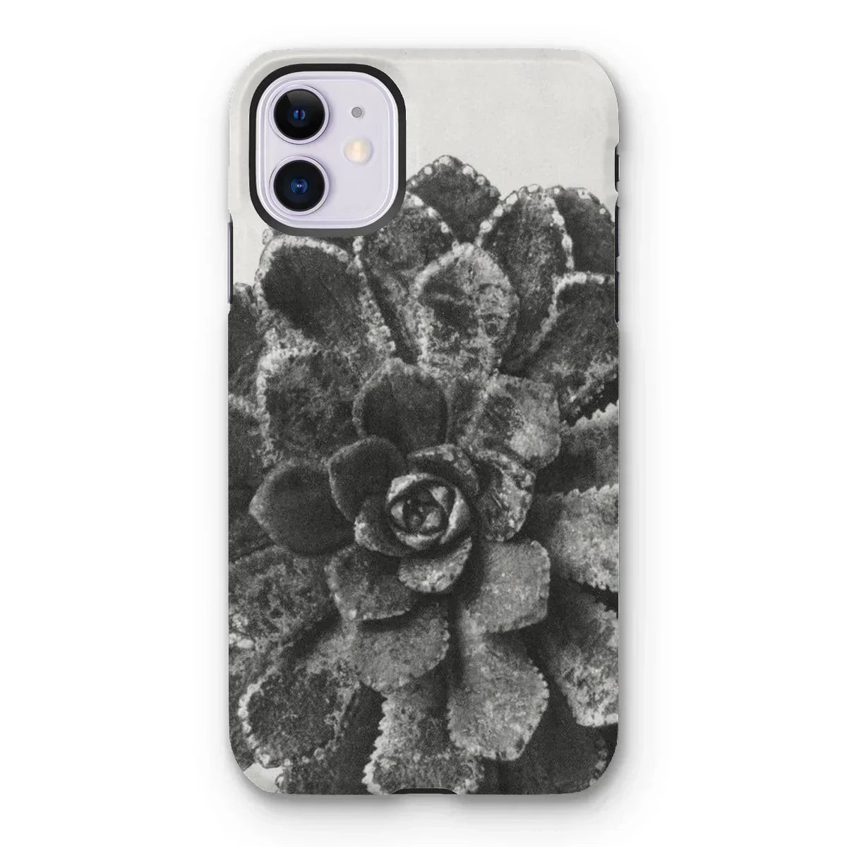 Pyramidal Saxifrage (saxifraga Aizoon) - Karl Blossfeldt Iphone Case, 11 / Matte, Phone Case Black White Photograph Succulent Plant