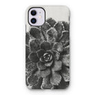 Pyramidal Saxifrage (saxifraga Aizoon) - Karl Blossfeldt Iphone Case, 11 / Matte, Phone Case Black White Photograph Succulent Plant