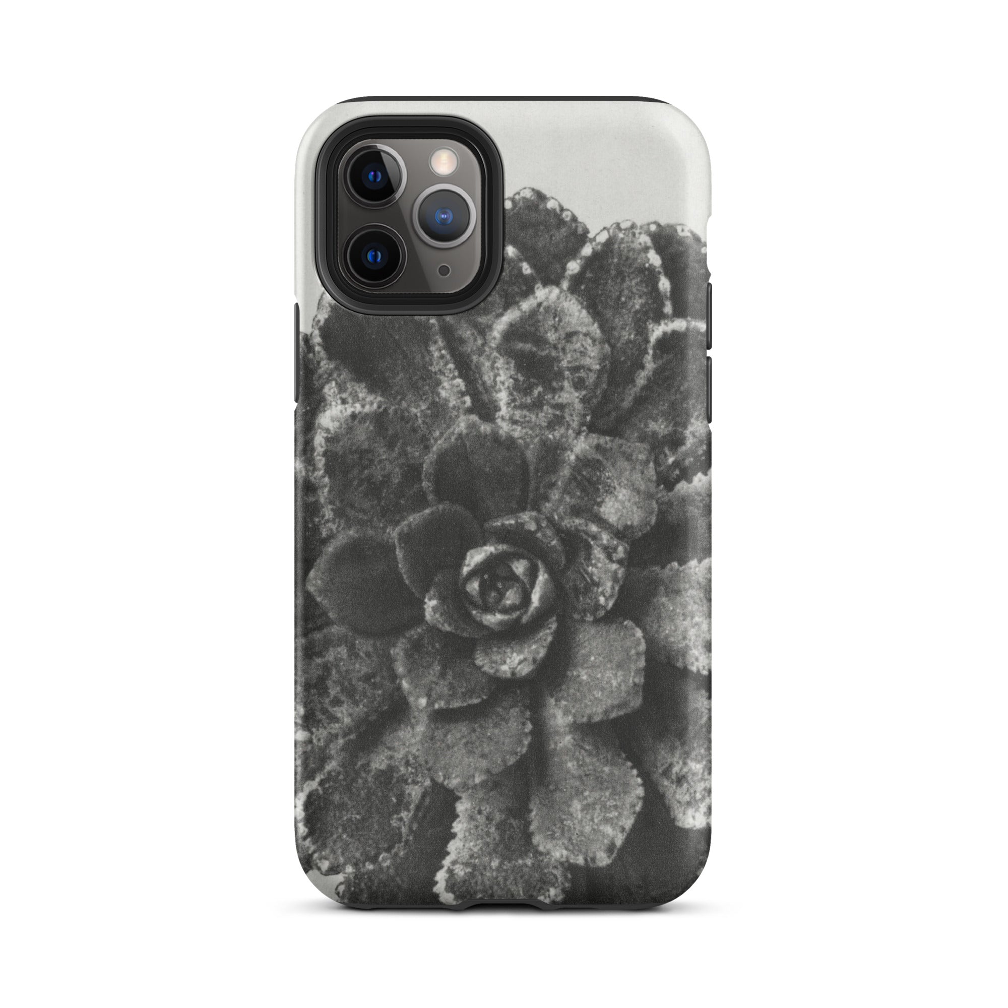 Pyramidal Saxifrage (saxifraga Aizoon) Karl Blossfeldt Iphone Case, 11 Pro / Matte, Black White Succulent Phone Case