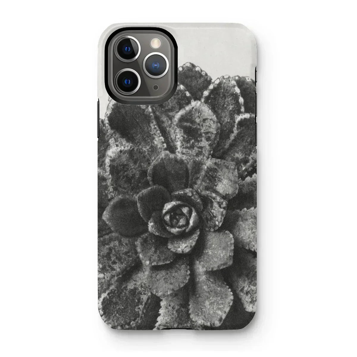 Pyramidal Saxifrage (saxifraga Aizoon) - Karl Blossfeldt Iphone Case, 11 Pro / Matte, Phone Case Black White Photograph Succulent Plant
