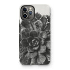 Pyramidal Saxifrage (saxifraga Aizoon) - Karl Blossfeldt Iphone Case, 11 Pro / Matte, Phone Case Black White Photograph Succulent Plant