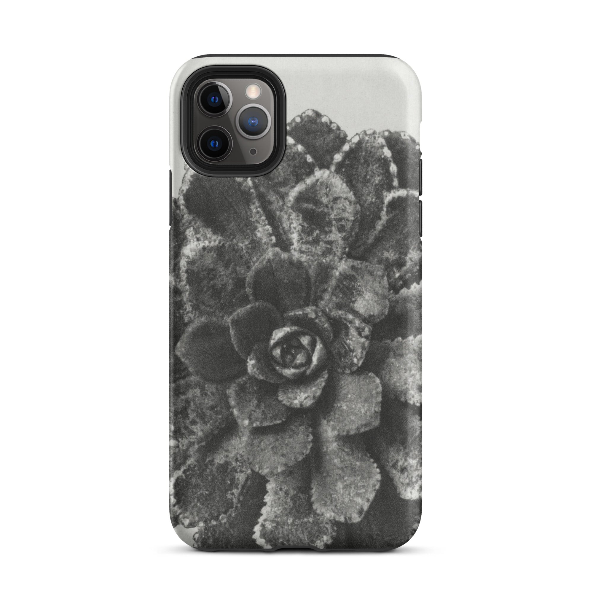 Pyramidal Saxifrage (saxifraga Aizoon) Karl Blossfeldt Iphone Case, 11 Pro Max / Matte, Black White Succulent Phone Case