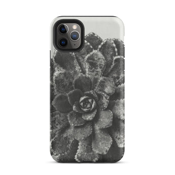 Pyramidal Saxifrage (saxifraga Aizoon) - Karl Blossfeldt Iphone Case, 11 Pro Max / Matte, Black White Succulent Phone Case