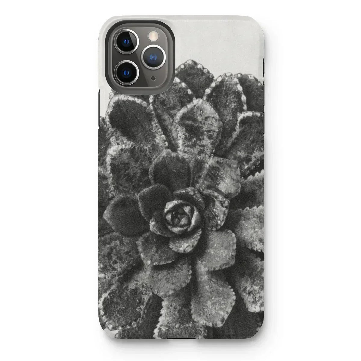 Pyramidal Saxifrage (saxifraga Aizoon) - Karl Blossfeldt Iphone Case, 11 Pro Max / Matte, Phone Case Black White Photograph Succulent Plant