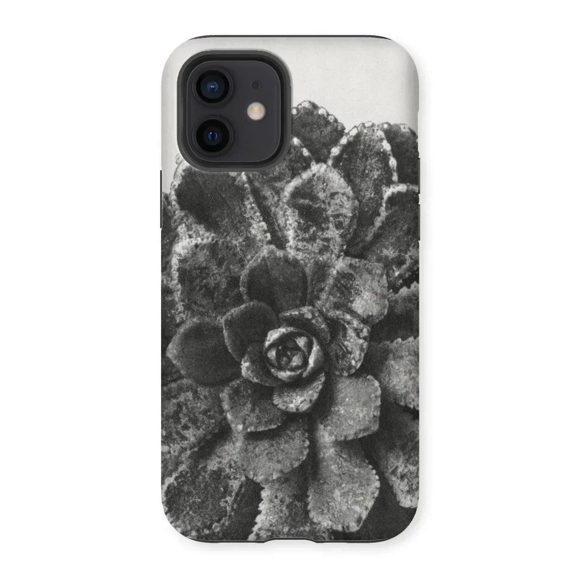 Pyramidal Saxifrage (saxifraga Aizoon) - Karl Blossfeldt Iphone Case, 12 / Matte, Succulent Plant Rosette-shaped Leaves Black White