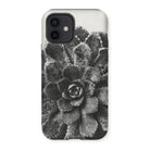 Pyramidal Saxifrage (saxifraga Aizoon) - Karl Blossfeldt Iphone Case, 12 / Matte, Succulent Plant Rosette-shaped Leaves Black White
