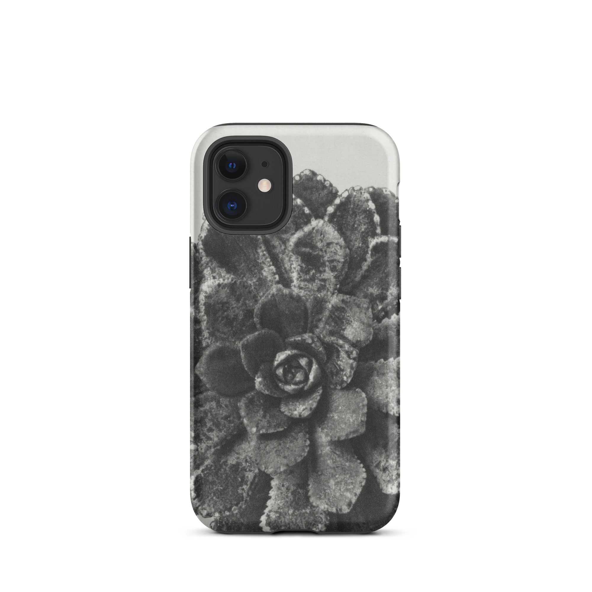 Pyramidal Saxifrage (saxifraga Aizoon) Karl Blossfeldt Iphone Case, 12 Mini / Matte, Black White Succulent Phone Case