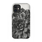 Pyramidal Saxifrage (saxifraga Aizoon) - Karl Blossfeldt Iphone Case, 12 Mini / Matte, Black White Close-up Photograph Succulent Plant