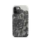 Pyramidal Saxifrage (saxifraga Aizoon) Karl Blossfeldt Iphone Case, 12 Pro / Matte, Black White Succulent Phone Case