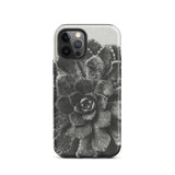 Pyramidal Saxifrage (saxifraga Aizoon) - Karl Blossfeldt Iphone Case, 12 Pro / Matte, Black White Succulent Phone Case