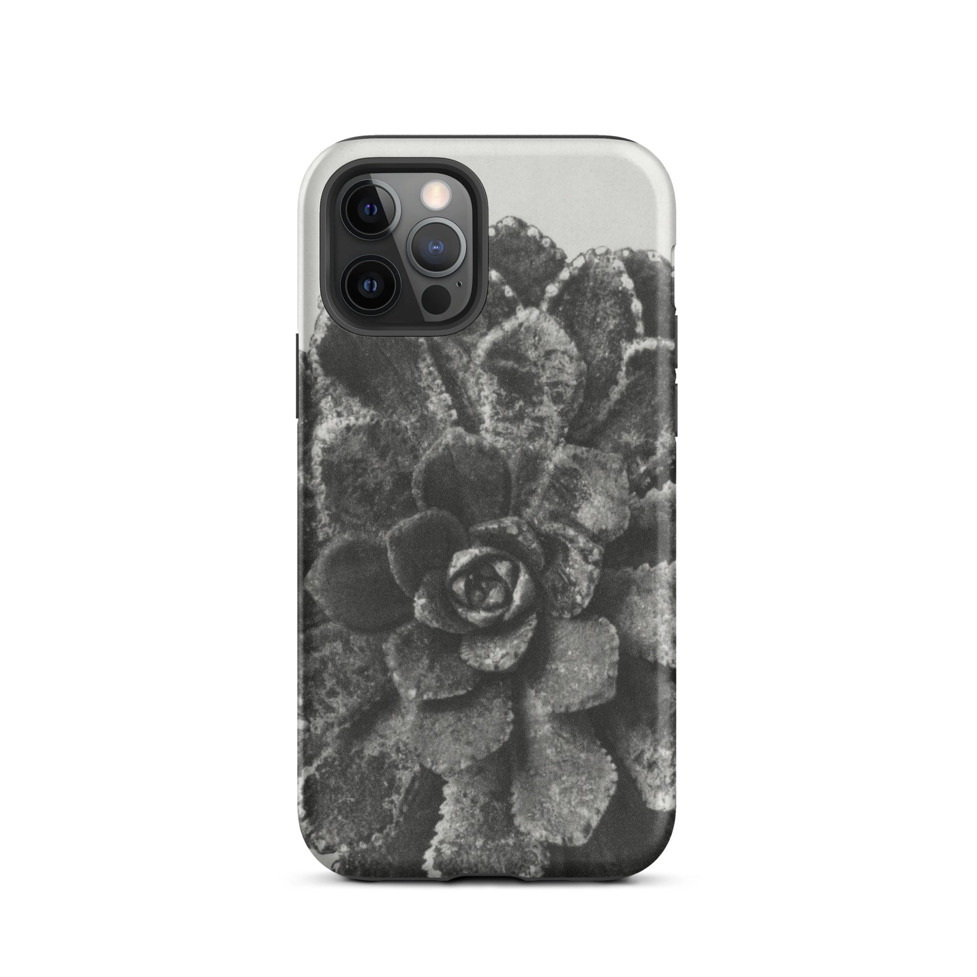 Pyramidal Saxifrage (saxifraga Aizoon) Karl Blossfeldt Iphone Case, 12 Pro / Matte, Black White Succulent Phone Case