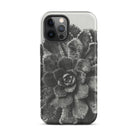 Pyramidal Saxifrage (saxifraga Aizoon) Karl Blossfeldt Iphone Case, 12 Pro Max / Matte, Black White Succulent Phone Case