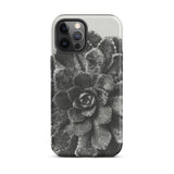 Pyramidal Saxifrage (saxifraga Aizoon) - Karl Blossfeldt Iphone Case, 12 Pro Max / Matte, Black White Succulent Phone Case