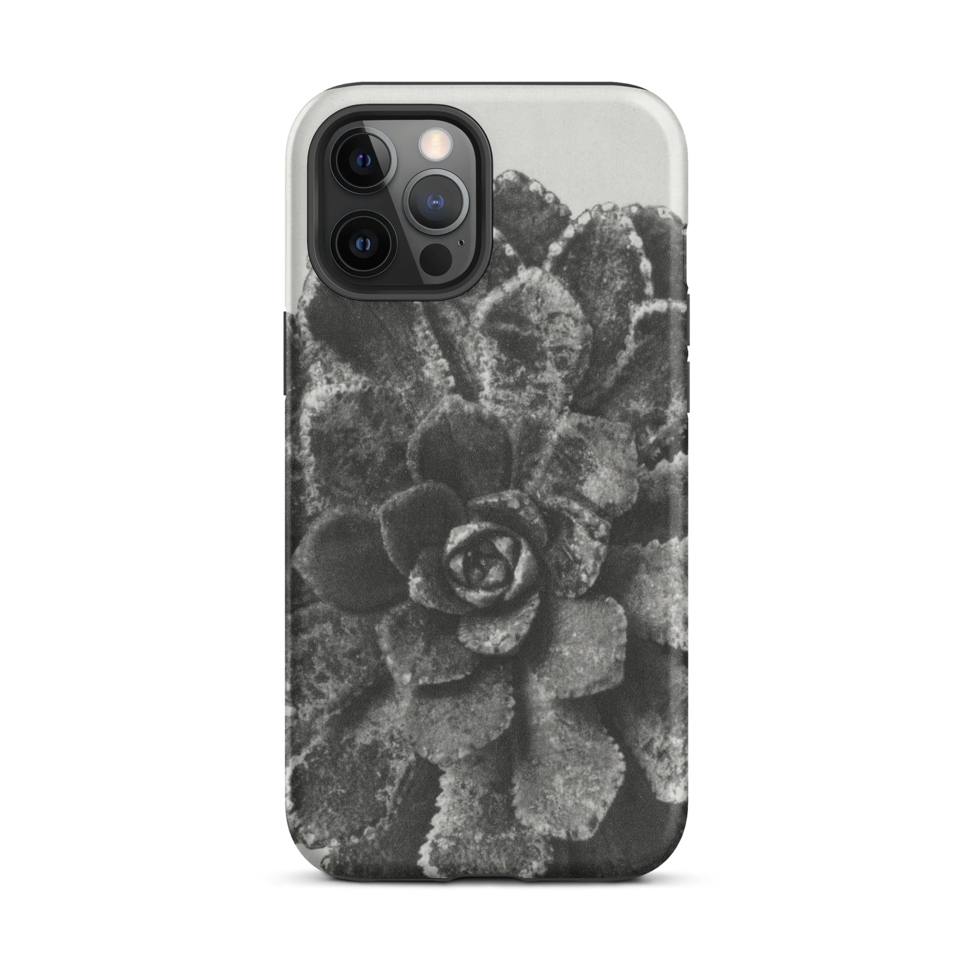 Pyramidal Saxifrage (saxifraga Aizoon) Karl Blossfeldt Iphone Case, 12 Pro Max / Matte, Black White Succulent Phone Case
