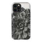 Pyramidal Saxifrage (saxifraga Aizoon) - Karl Blossfeldt Iphone Case, 12 Pro Max / Matte, Succulent Plant Rosette-shaped Leaves Black White