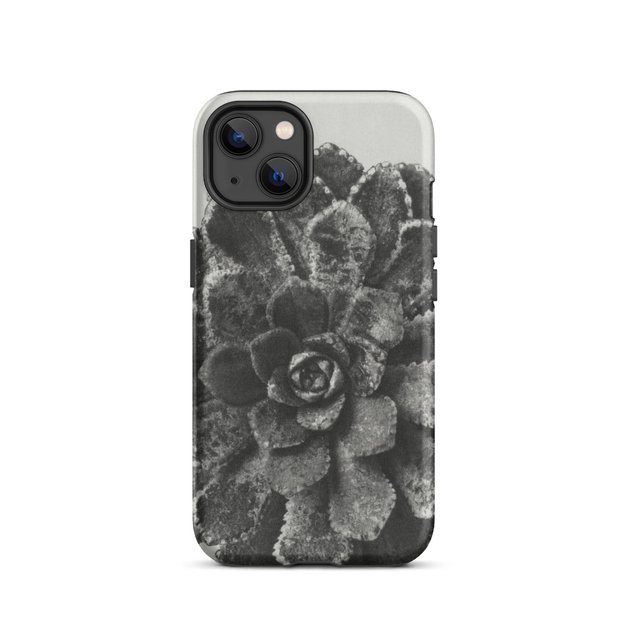 Pyramidal Saxifrage (saxifraga Aizoon) Karl Blossfeldt Iphone Case, 13 / Matte, Black White Succulent Phone Case
