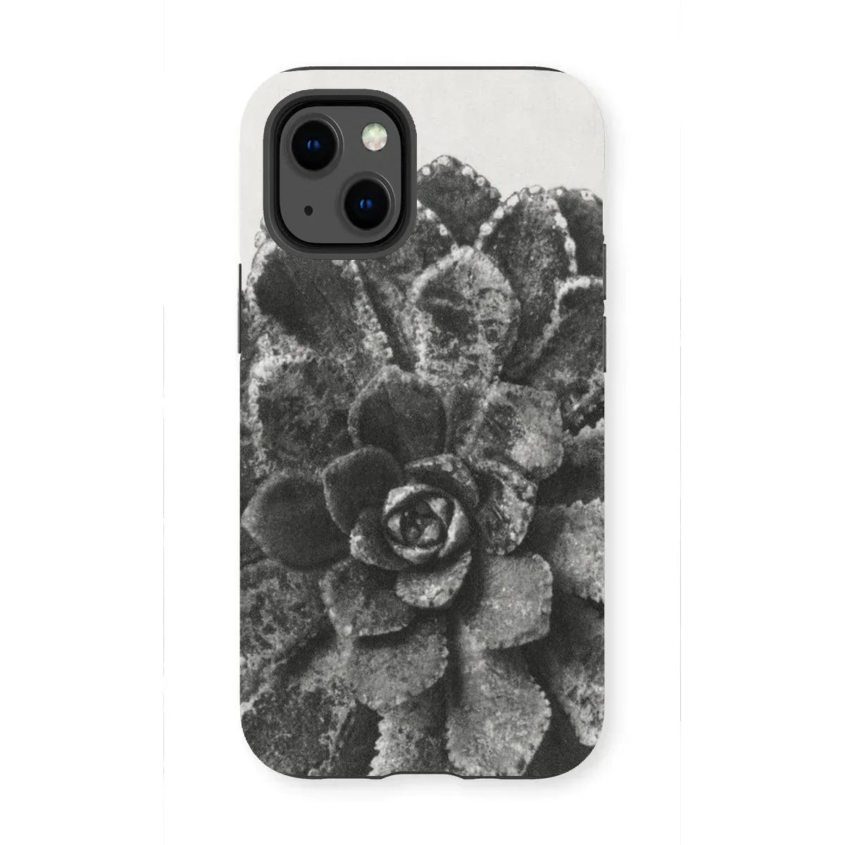 Pyramidal Saxifrage (saxifraga Aizoon) - Karl Blossfeldt Iphone Case, 13 Mini / Matte, Black White Photograph Succulent Plant Printed Phone