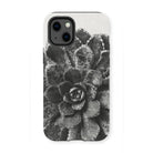 Pyramidal Saxifrage (saxifraga Aizoon) - Karl Blossfeldt Iphone Case, 13 Mini / Matte, Black White Photograph Succulent Plant Printed Phone