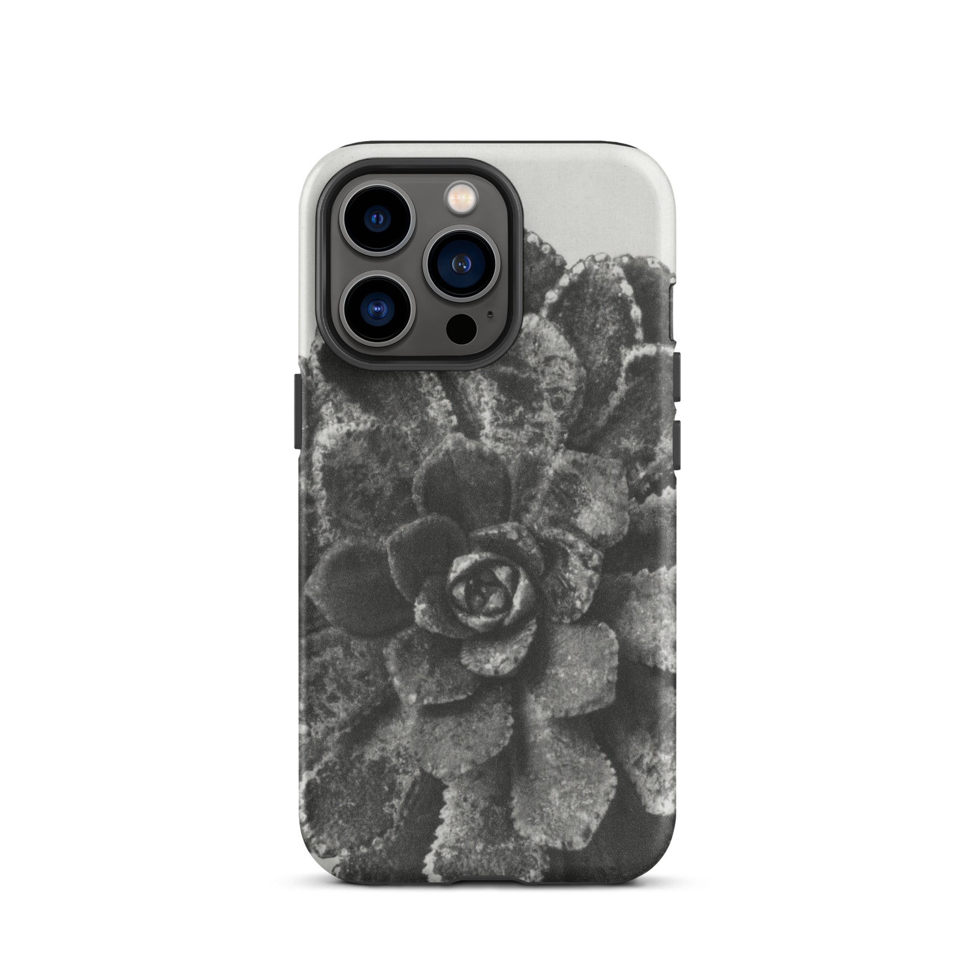 Pyramidal Saxifrage (saxifraga Aizoon) Karl Blossfeldt Iphone Case, 13 Pro / Matte, Black White Succulent Phone Case