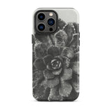 Pyramidal Saxifrage (saxifraga Aizoon) - Karl Blossfeldt Iphone Case, 13 Pro Max / Matte, Black White Succulent Phone Case