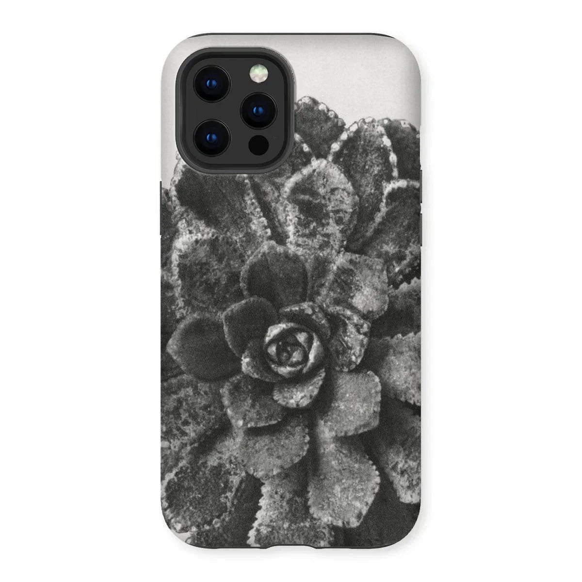 Pyramidal Saxifrage (saxifraga Aizoon) - Karl Blossfeldt Iphone Case, 13 Pro Max / Matte, Succulent Plant Rosette-shaped Leaves Black White