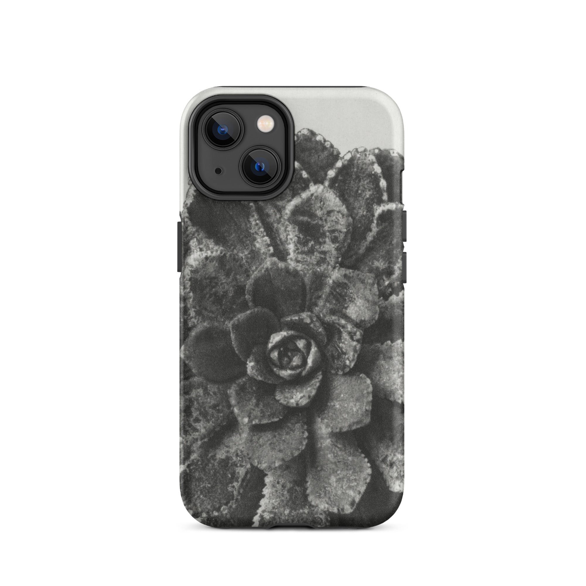 Pyramidal Saxifrage (saxifraga Aizoon) Karl Blossfeldt Iphone Case, 14 / Matte, Black White Succulent Phone Case