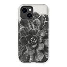 Pyramidal Saxifrage (saxifraga Aizoon) - Karl Blossfeldt Iphone Case, 14 / Matte, Smartphone Case Black White Photograph Succulent Plant