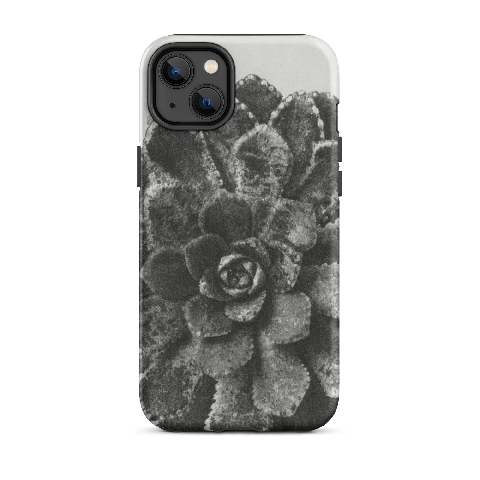 Pyramidal Saxifrage (saxifraga Aizoon) Karl Blossfeldt Iphone Case, 14 Plus / Matte, Black White Succulent Phone Case
