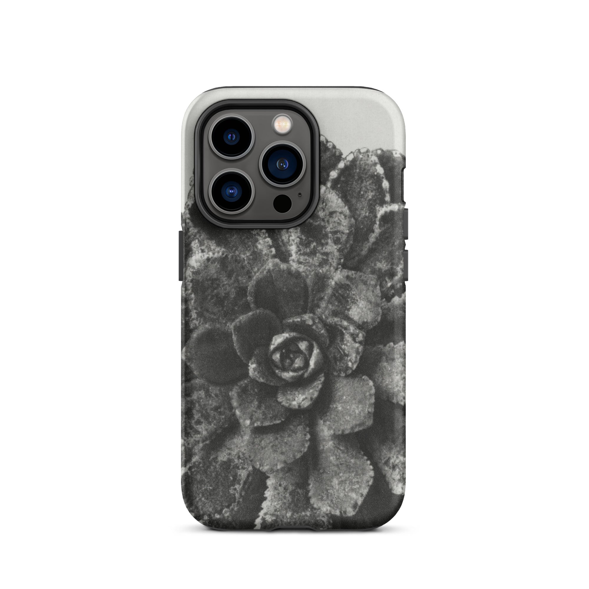 Pyramidal Saxifrage (saxifraga Aizoon) Karl Blossfeldt Iphone Case, 14 Pro / Matte, Succulent Patterned Phone Case